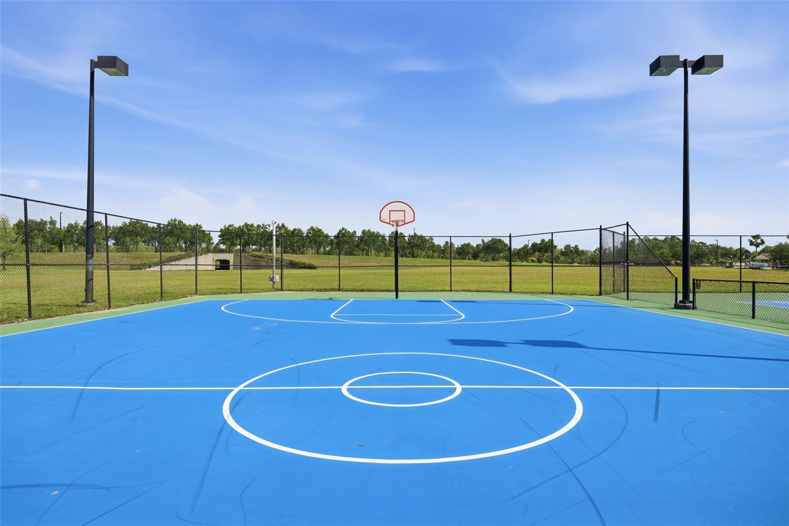 Image 72 of 87 For 9845 Sword Fern Way