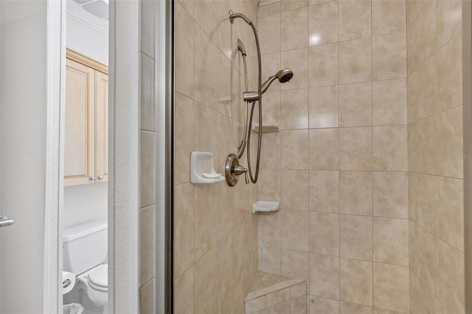 Image 22 of 37 For 209 Vistoria Drive