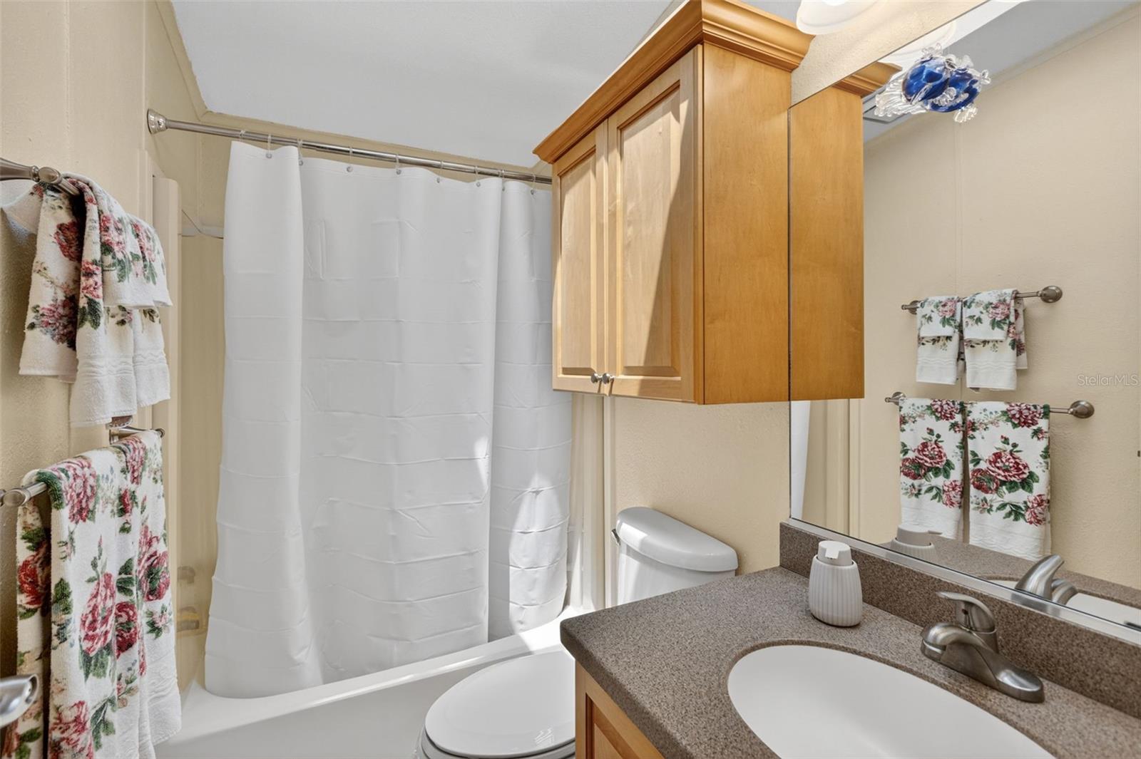 Image 28 of 37 For 209 Vistoria Drive