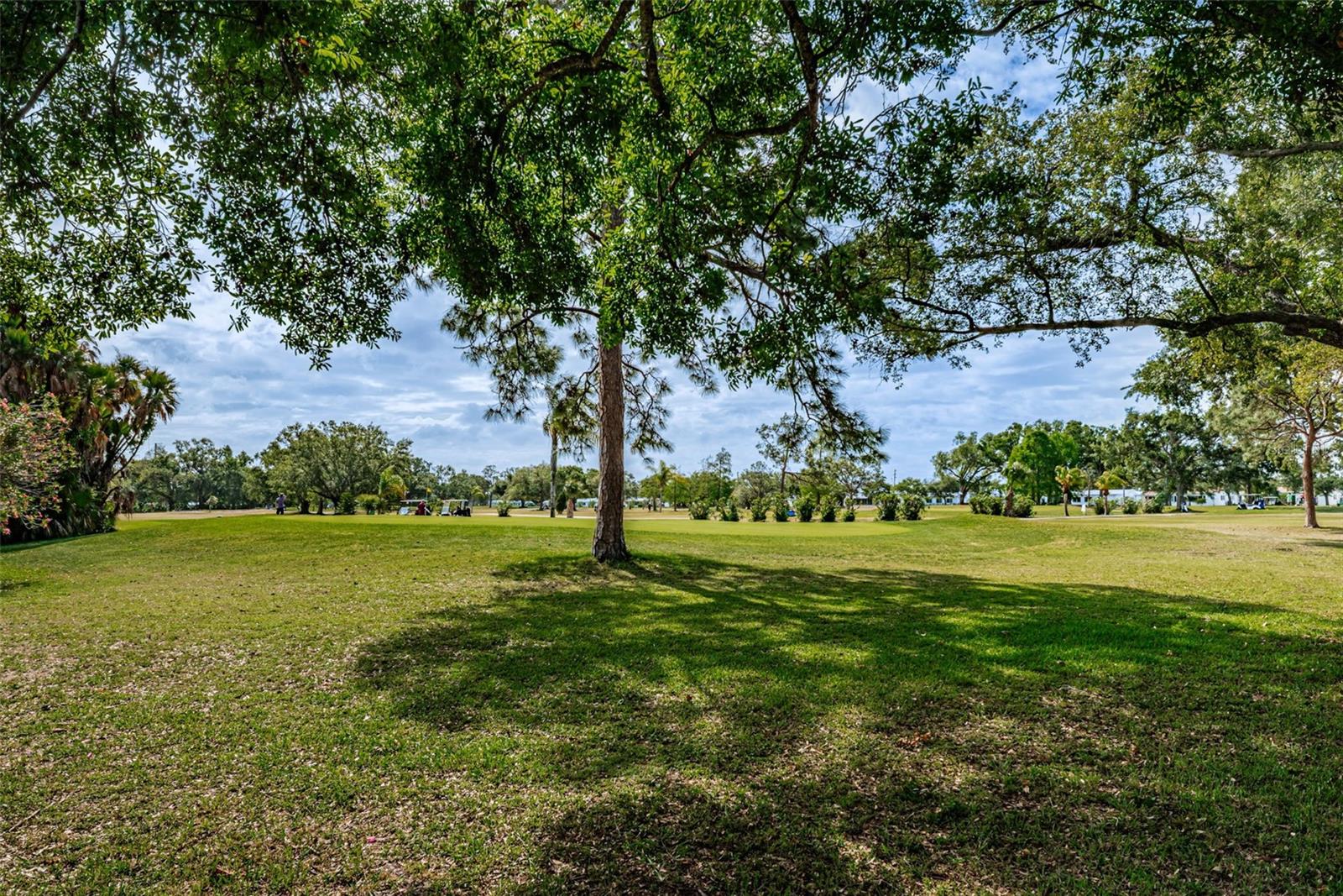 Image 44 of 64 For 4286 96th Avenue N