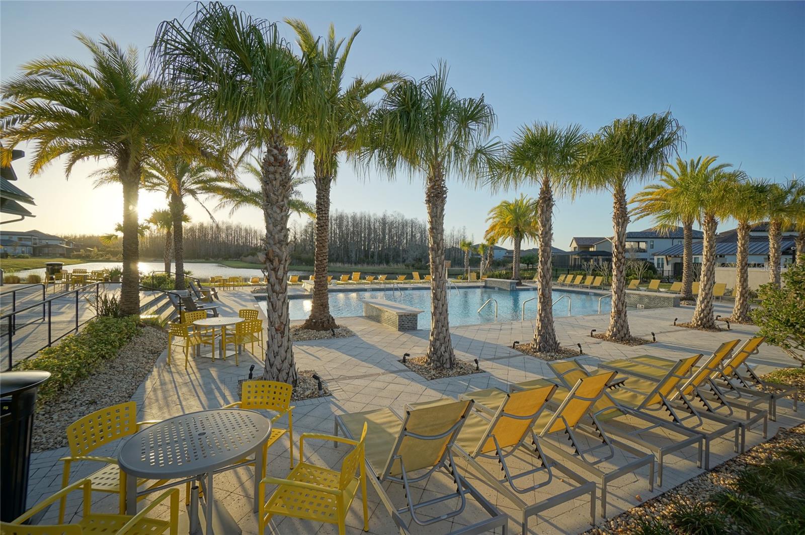 Image 42 of 47 For 19817 Cypress Bridge Drive