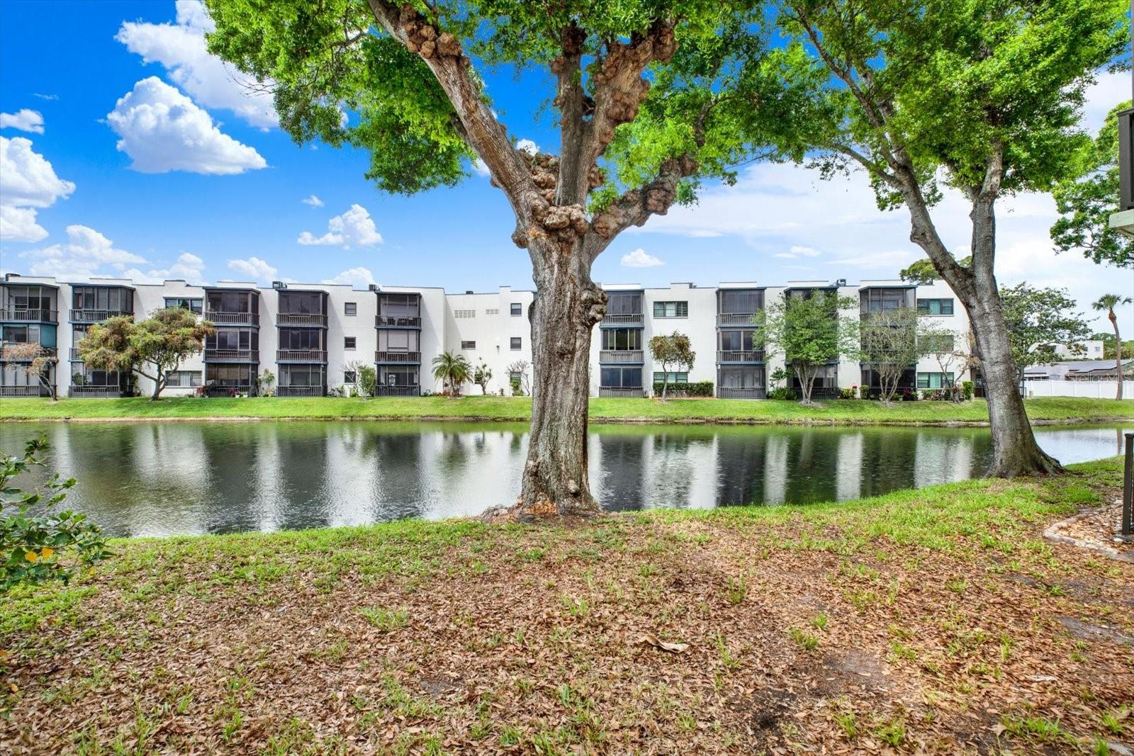 Image 24 of 33 For 5980 Terrace Park Drive N 309