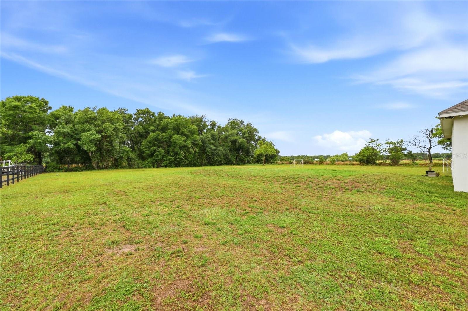 Listing photo id 59 for 8459 Harvey Walden Drive