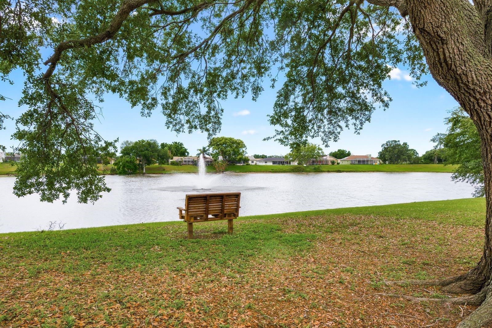 Listing photo id 46 for 1011 Ridge Drive