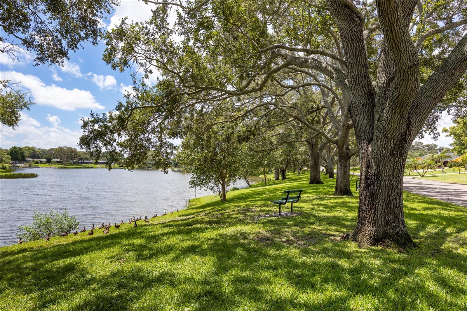 Image 31 of 53 For 1218 Taylor Ave