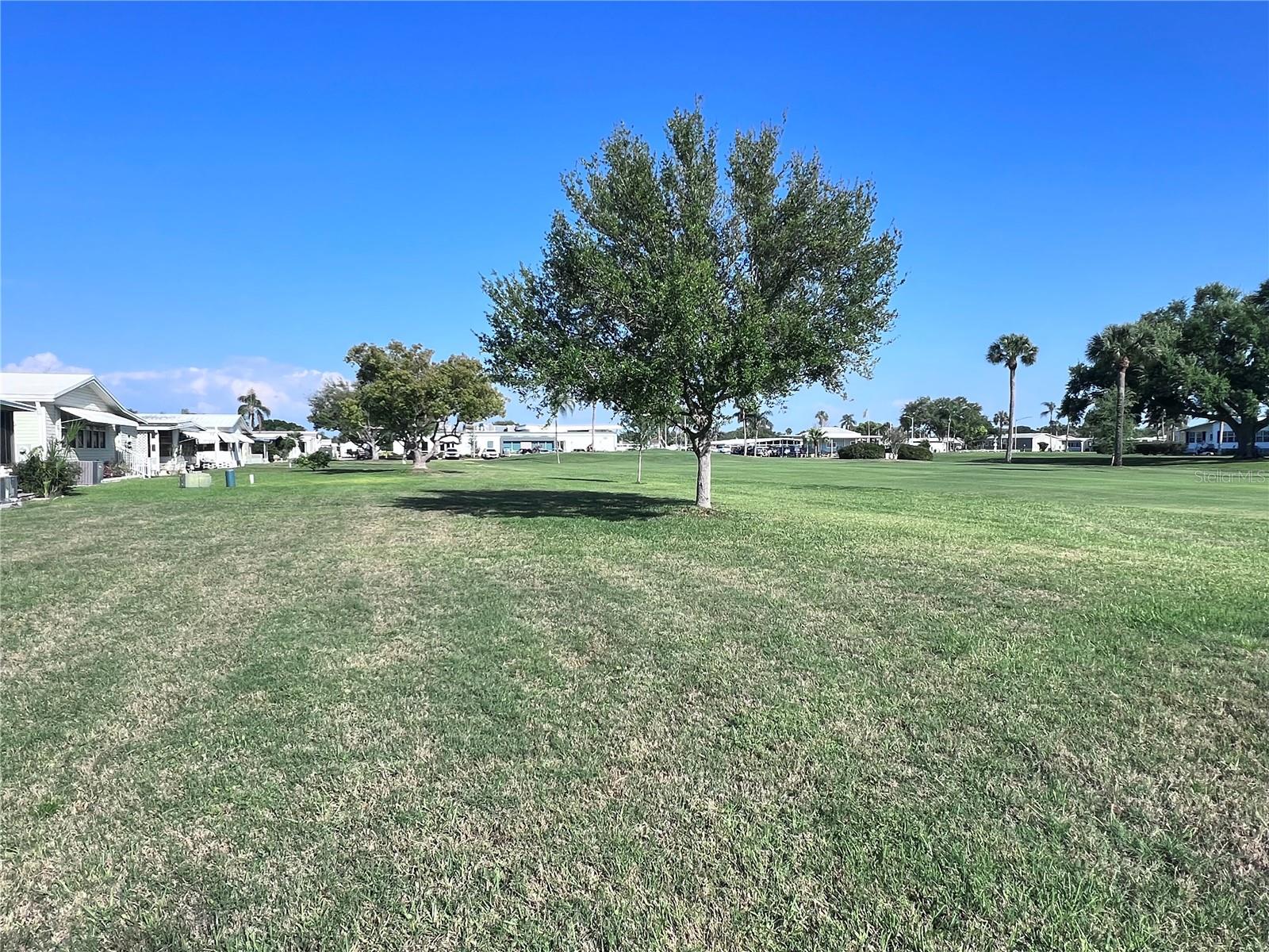 Image 41 of 84 For 1100 Belcher Road S 416