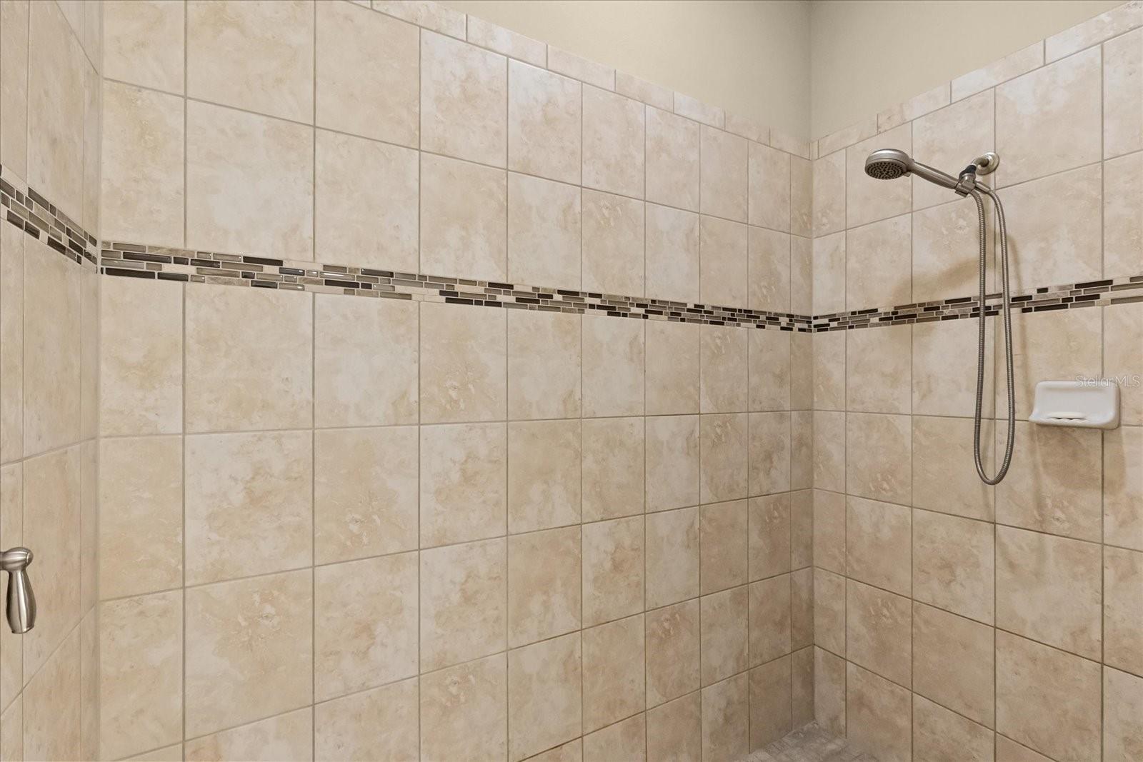 Image 28 of 38 For 11450 Amapola Bloom Court