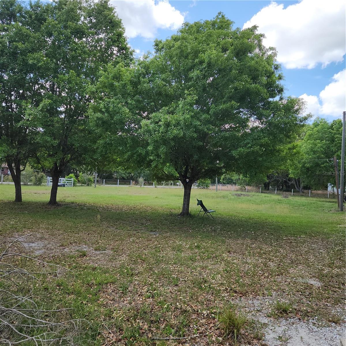 Image 15 of 25 For 26739 Foamflower Boulevard