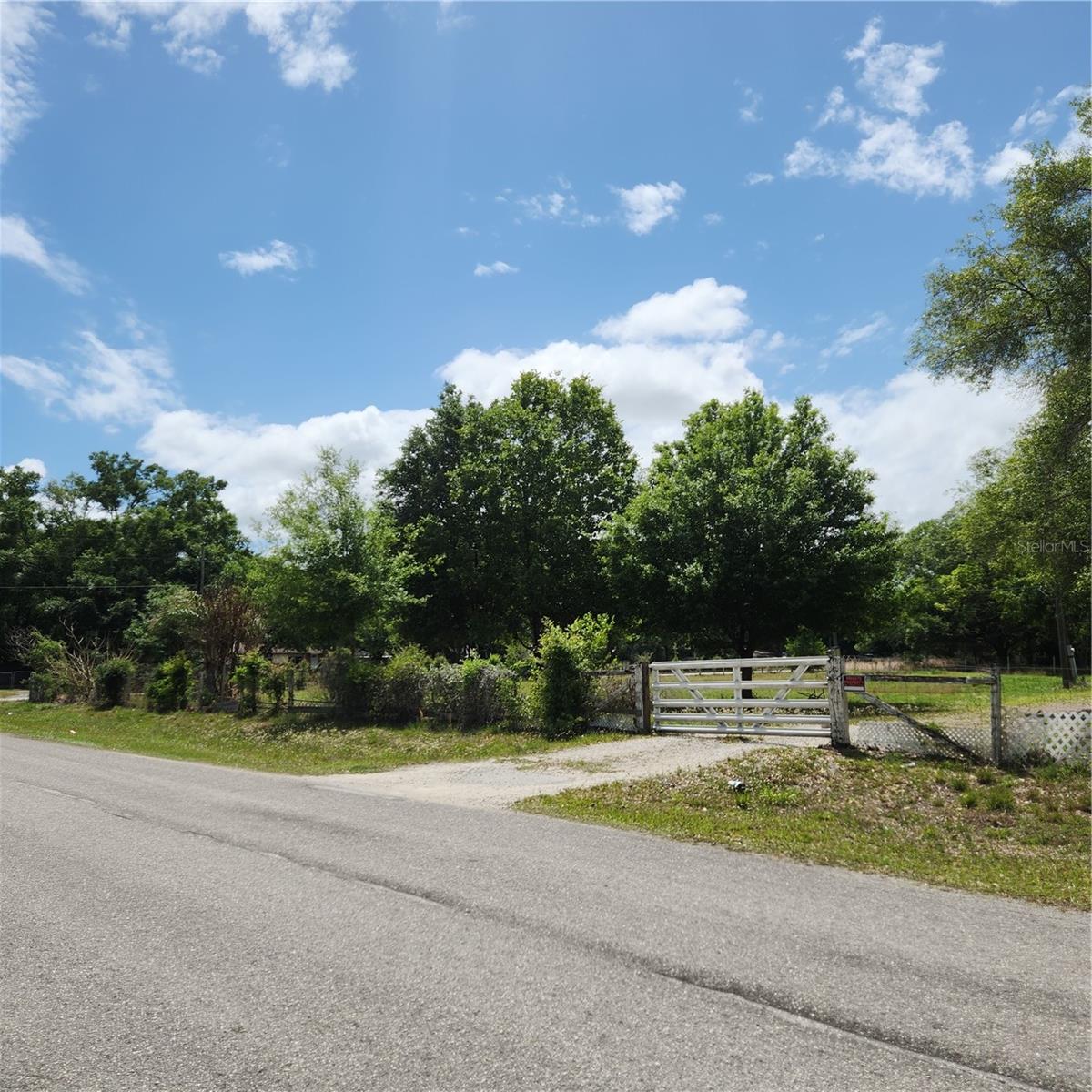 Image 19 of 25 For 26739 Foamflower Boulevard