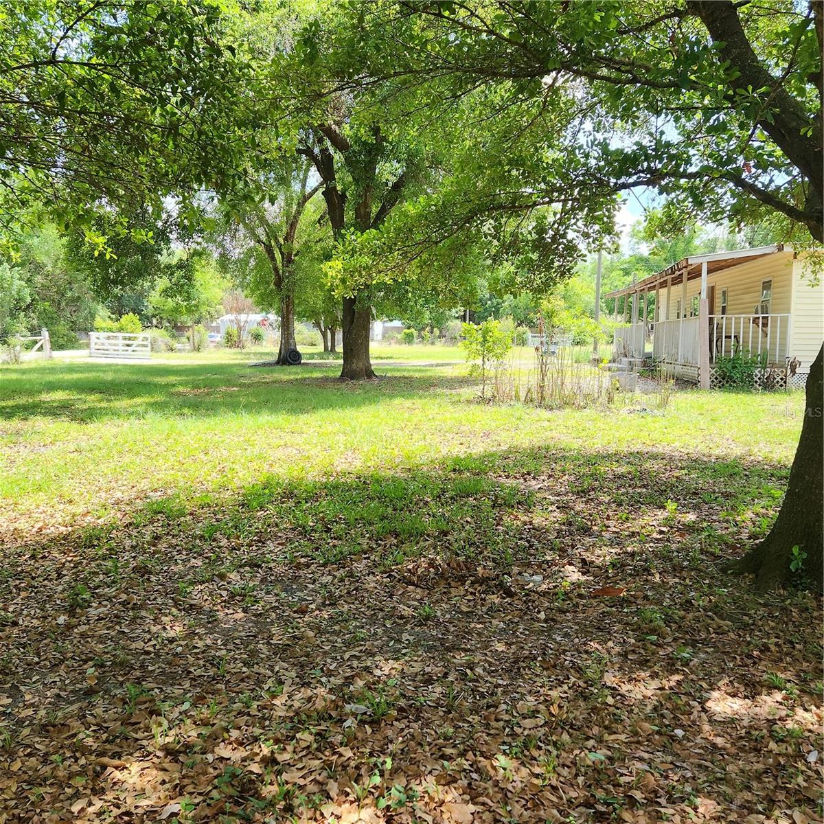 Image 25 of 25 For 26739 Foamflower Boulevard