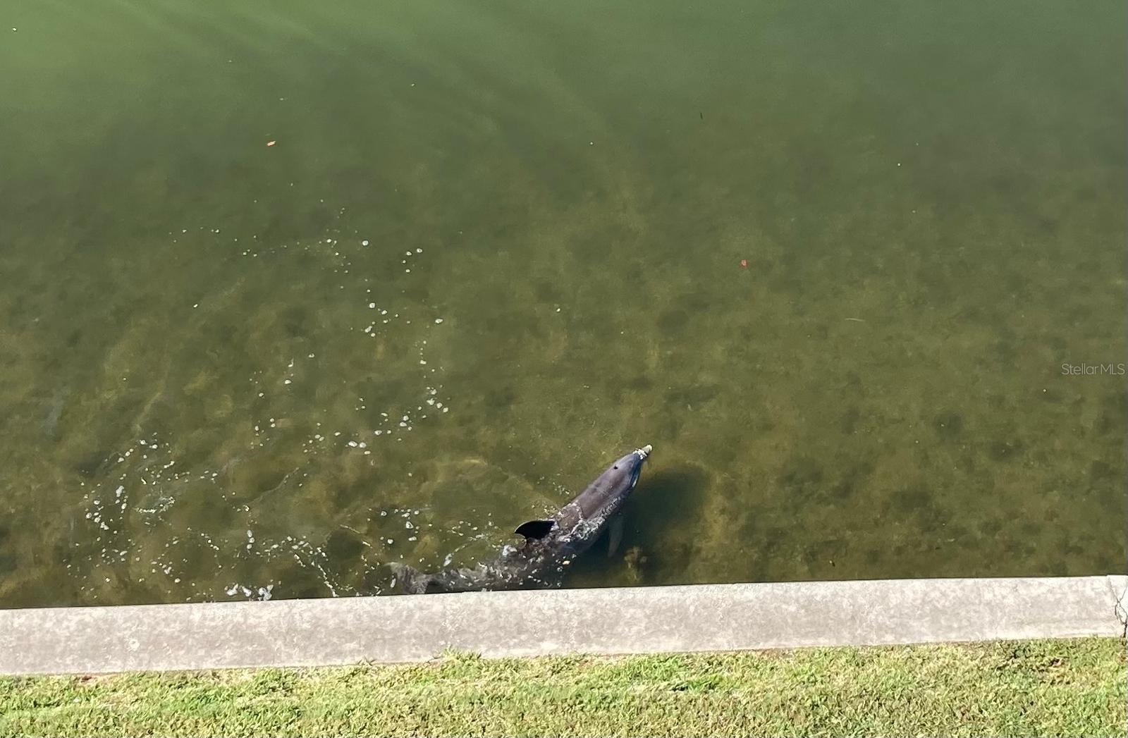 Image 28 of 29 For 8800 Bay Pines Boulevard 320