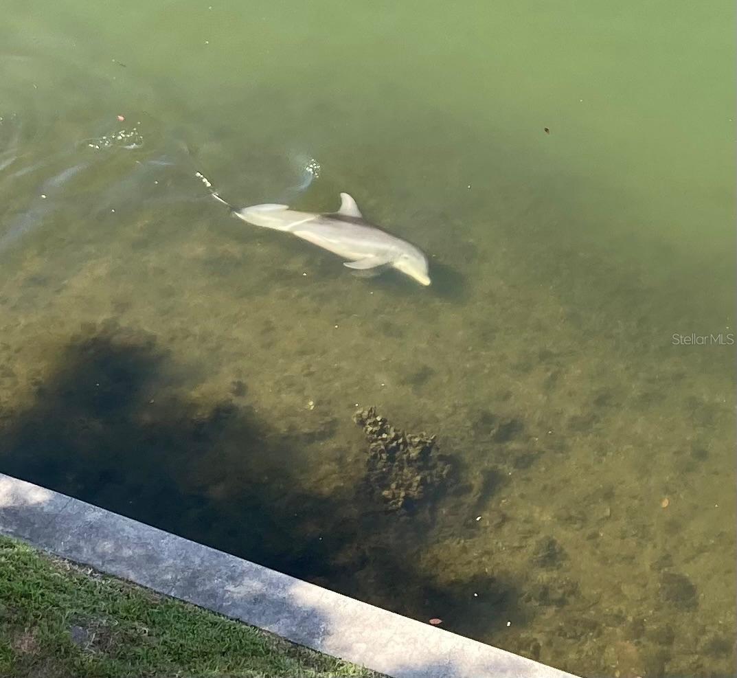 Image 29 of 29 For 8800 Bay Pines Boulevard 320