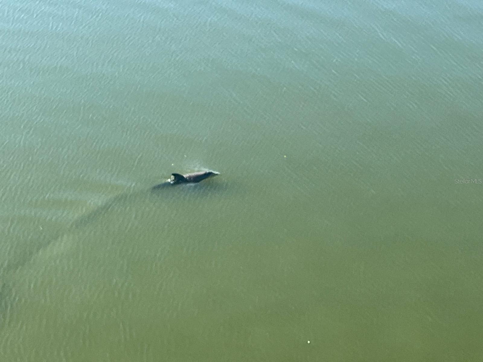 Image 5 of 29 For 8800 Bay Pines Boulevard 320