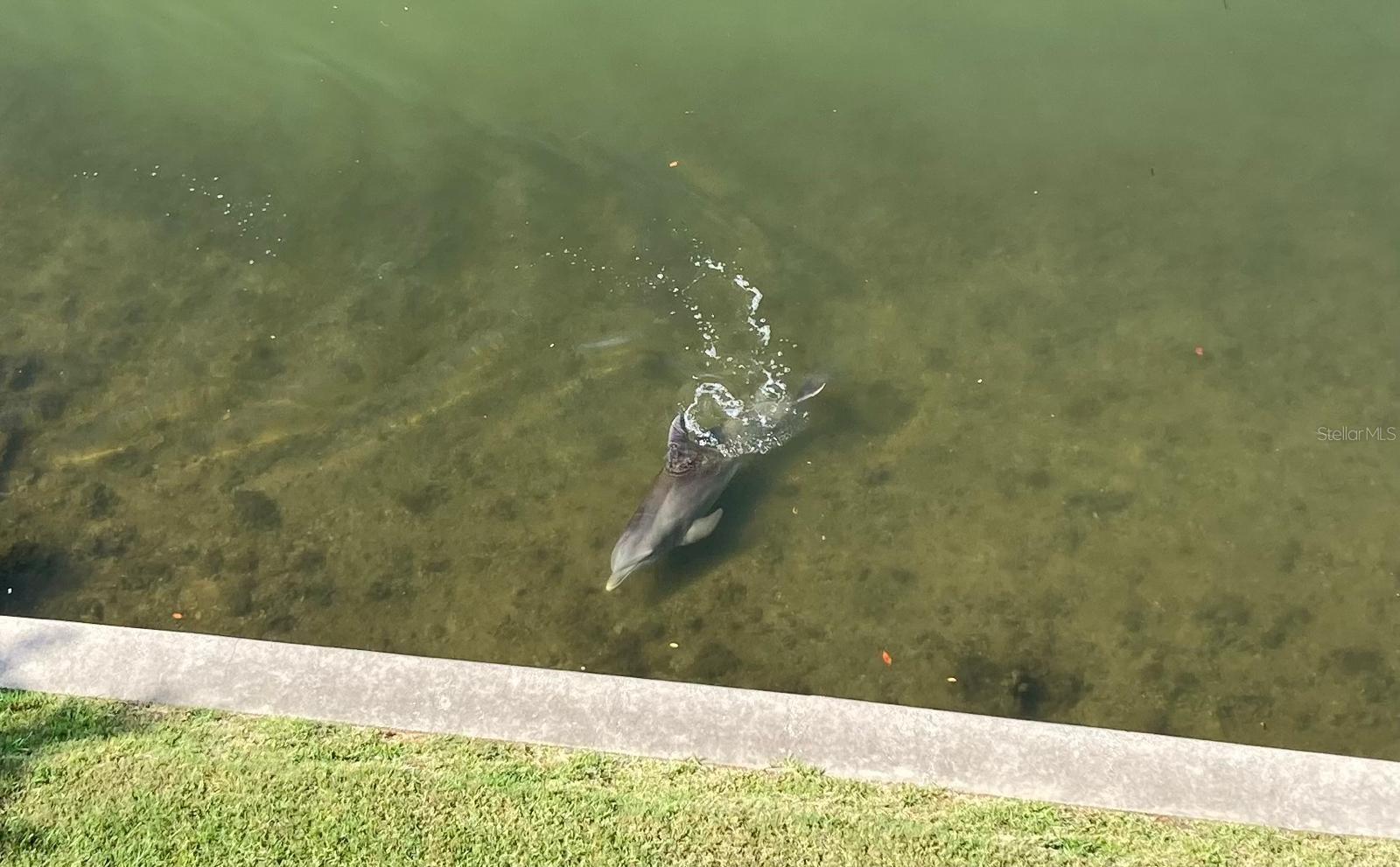 Image 6 of 29 For 8800 Bay Pines Boulevard 320