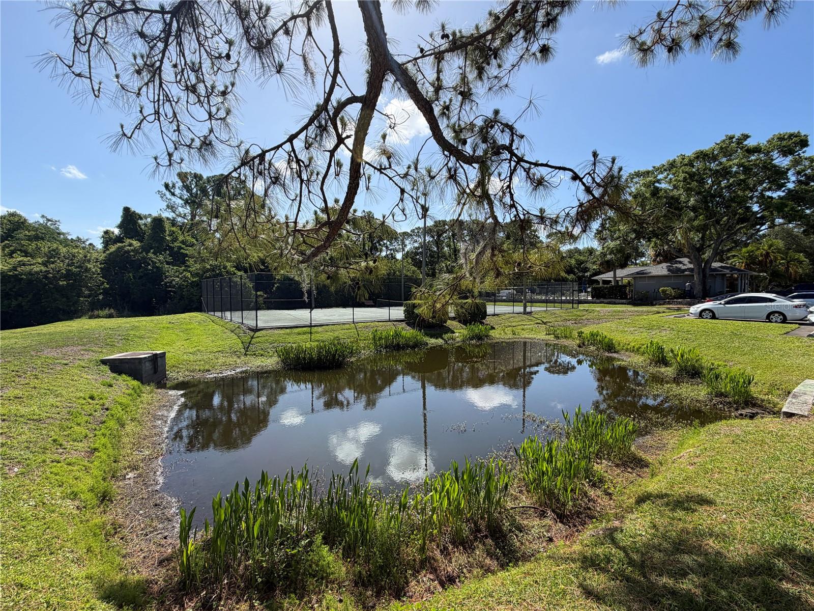 Image 49 of 55 For 274 Buckingham Place