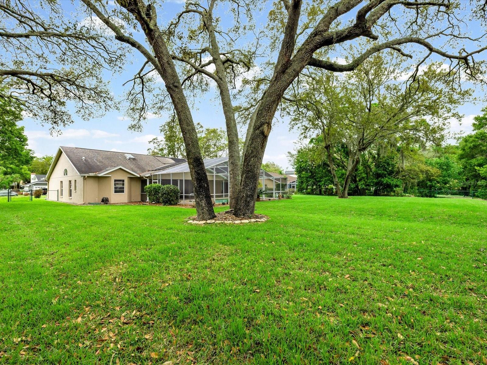 Image 47 of 63 For 18602 Winding Oaks Boulevard