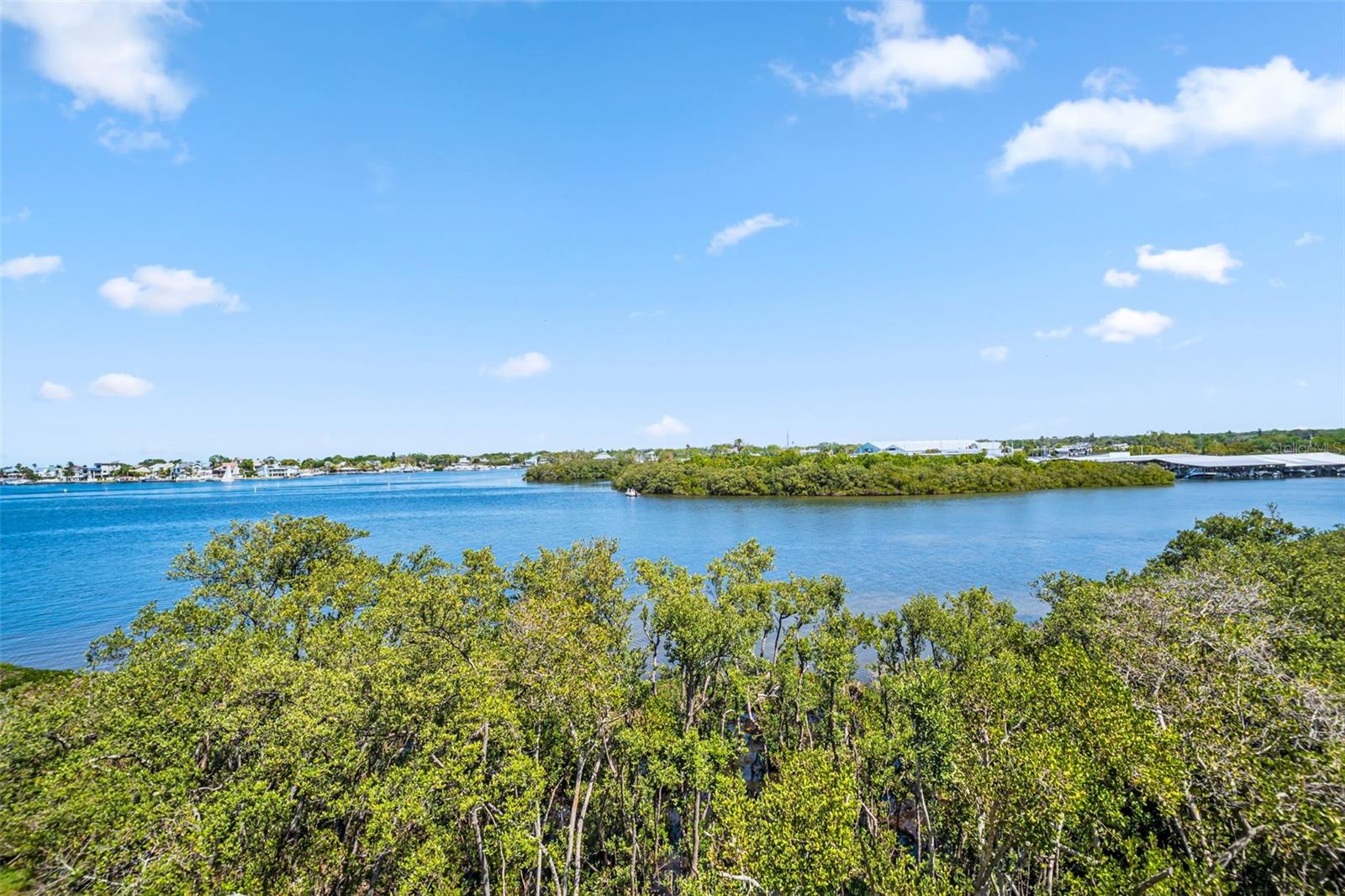 Image 23 of 31 For 2700 Bayshore Boulevard 9305