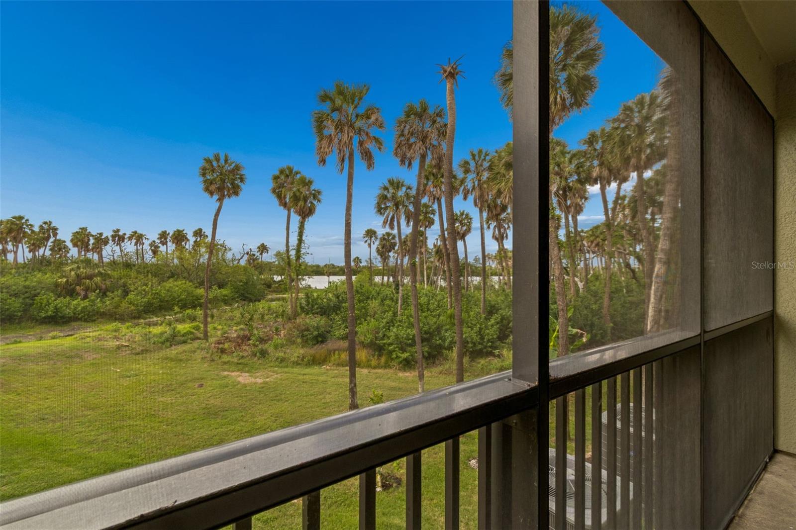 Listing photo id 43 for 4706 Tuscan Loon Drive