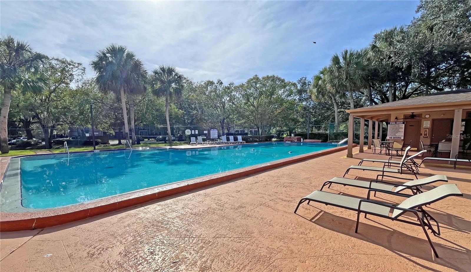 Image 28 of 28 For 4207 Winding Moss Trail 208