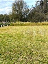 Image 13 of 20 For 5578 Maggiore Boulevard