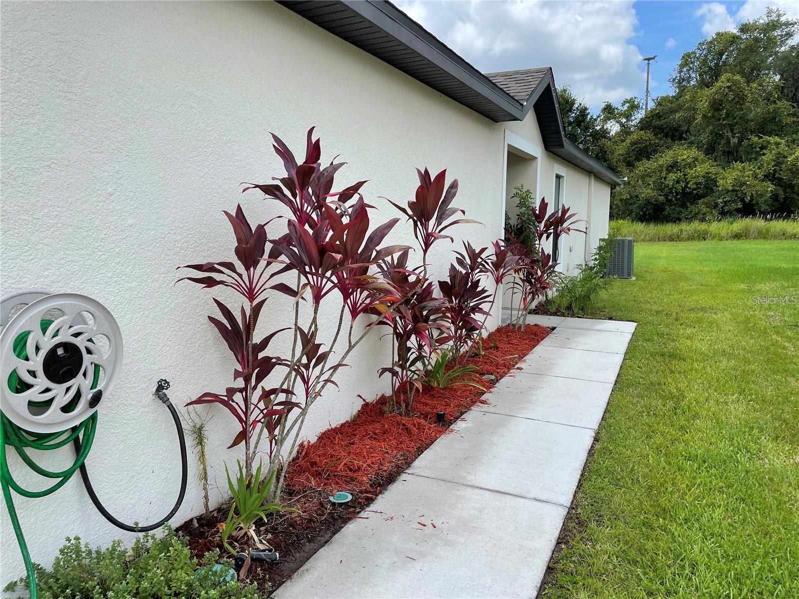 Image 2 of 20 For 5578 Maggiore Boulevard
