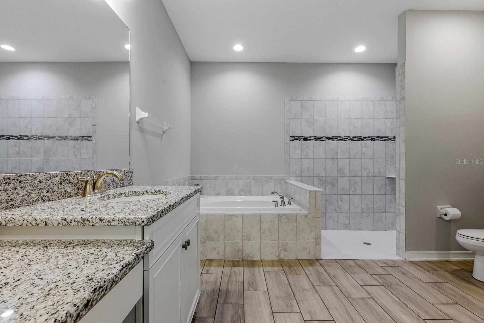 Image 29 of 79 For 17834 Cortes Creek Boulevard