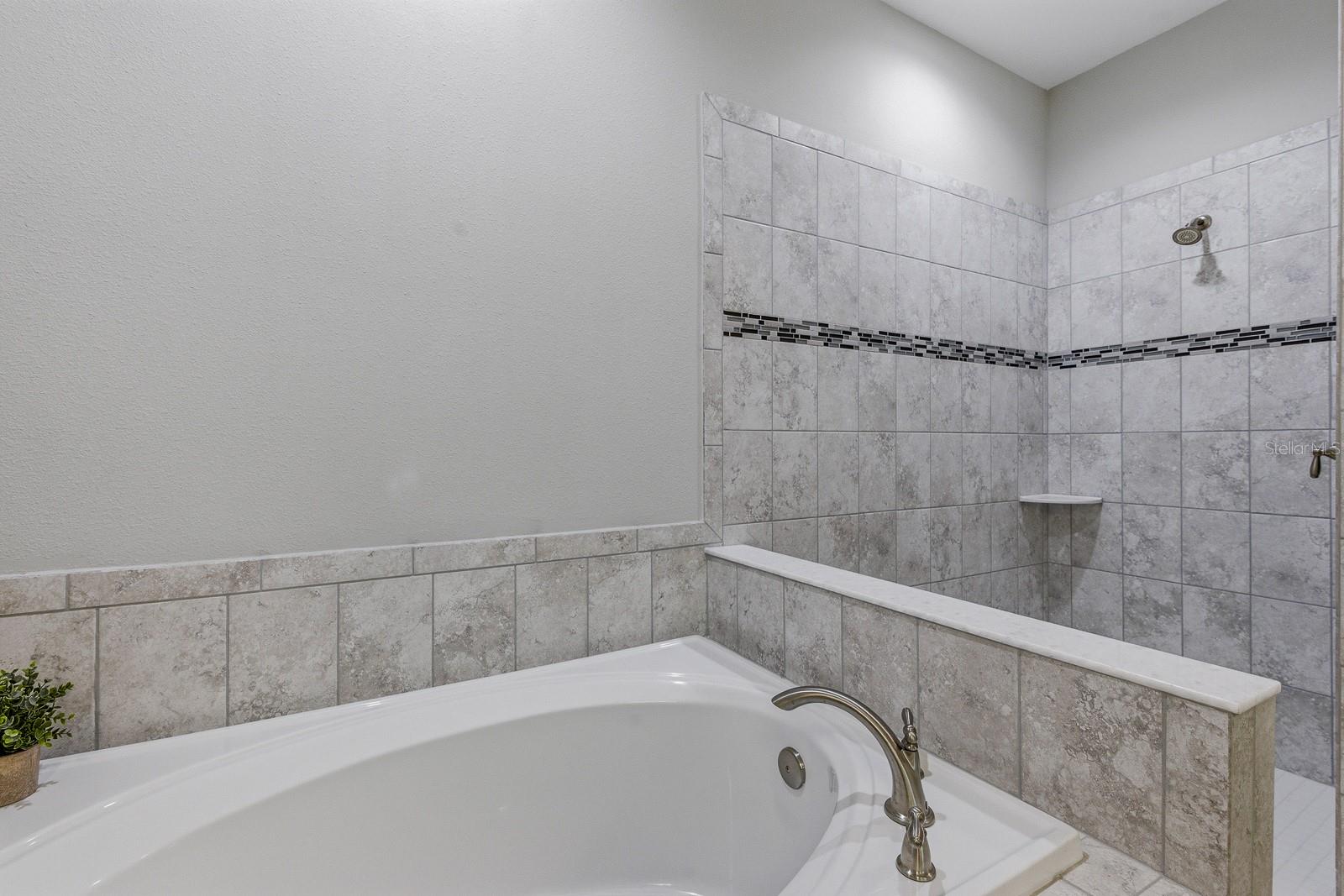 Image 30 of 79 For 17834 Cortes Creek Boulevard