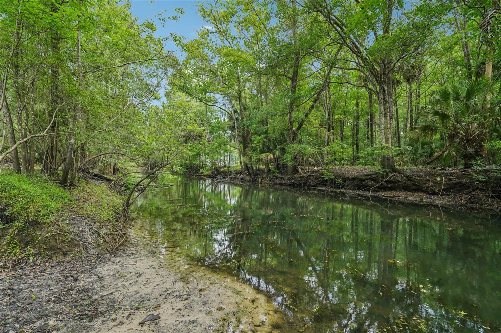 Image 5 of 56 For 217 Tuck Point