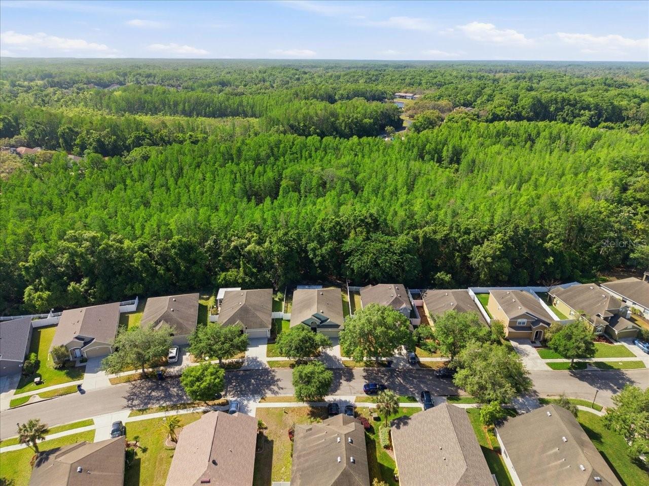 Image 46 of 49 For 11844 Colony Lakes Boulevard