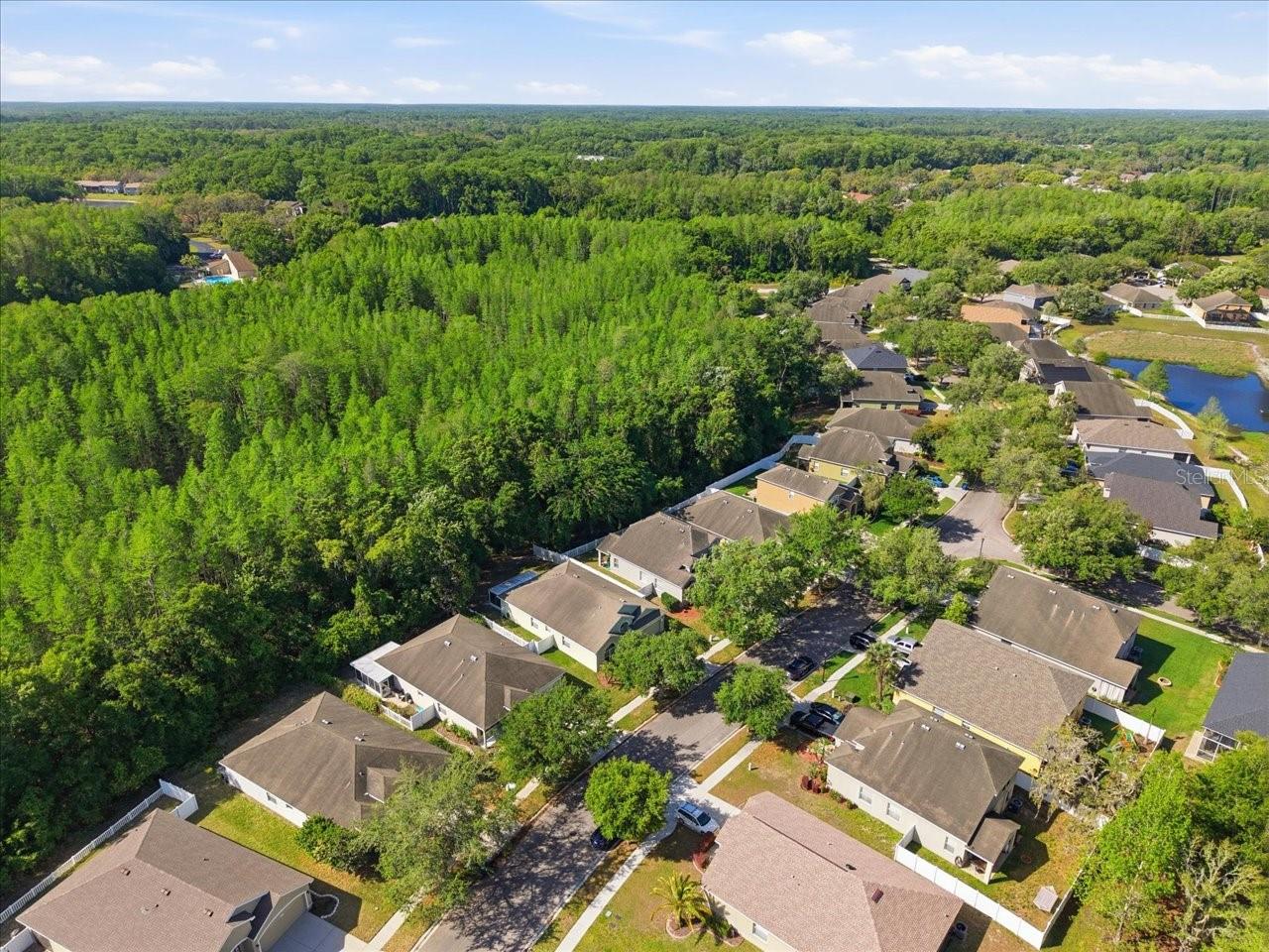 Image 47 of 49 For 11844 Colony Lakes Boulevard