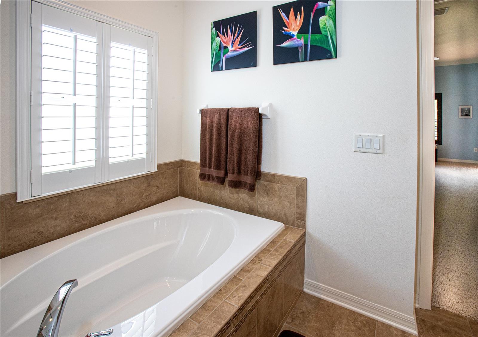 Image 29 of 63 For 11532 Bathgate Court