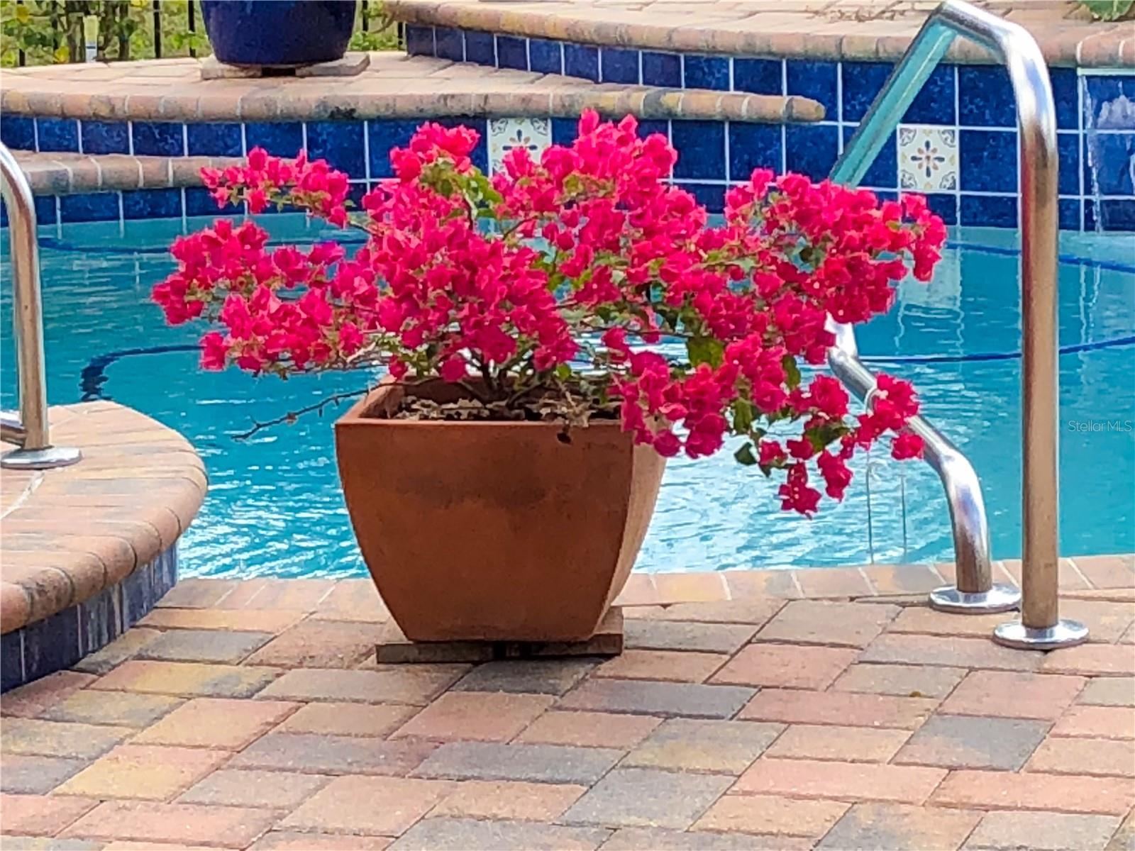 Image 44 of 63 For 11532 Bathgate Court