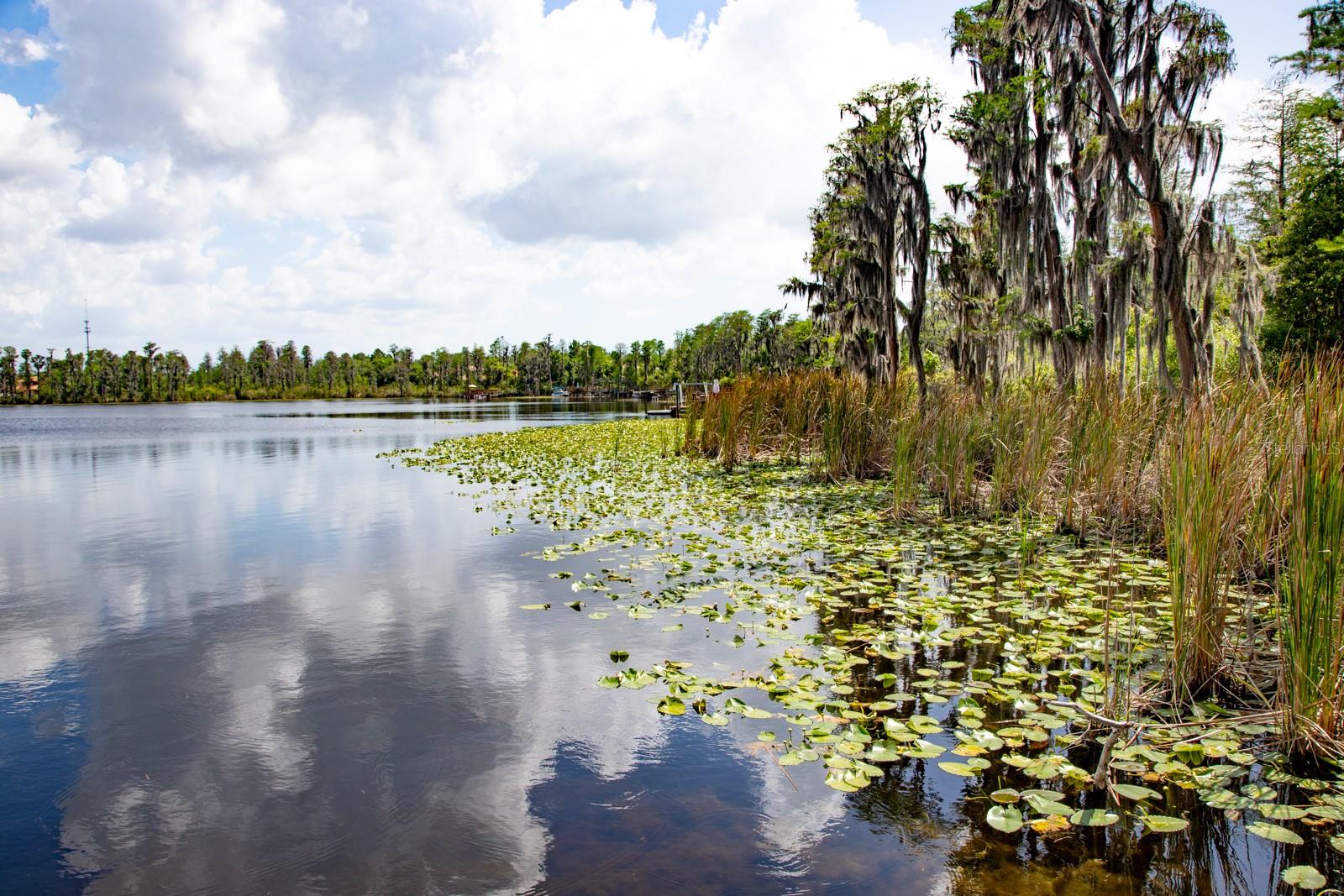 Image 62 of 63 For 11532 Bathgate Court