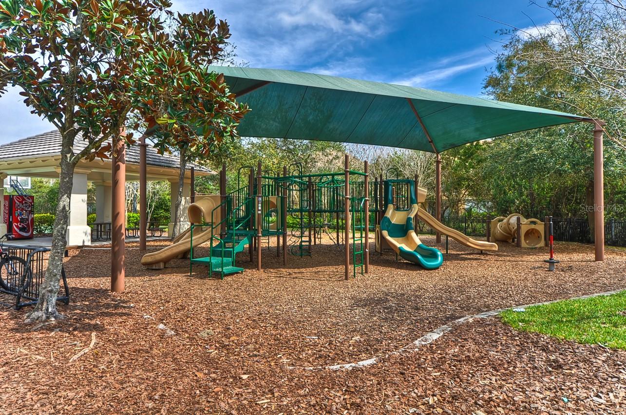 Image 47 of 52 For 14543 Mirabelle Vista Circle