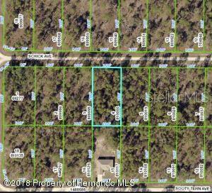 Listing Details for 13352 Schick Avenue, BROOKSVILLE, FL 34614
