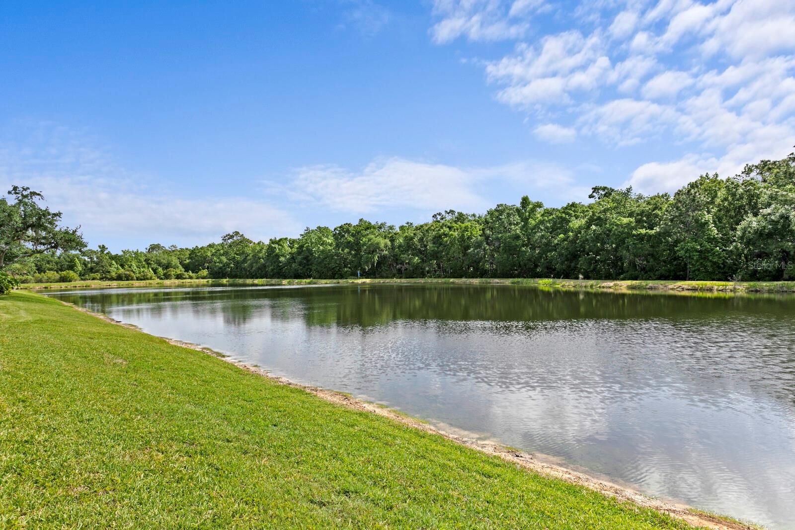 Image 52 of 66 For 8519 Portage Avenue