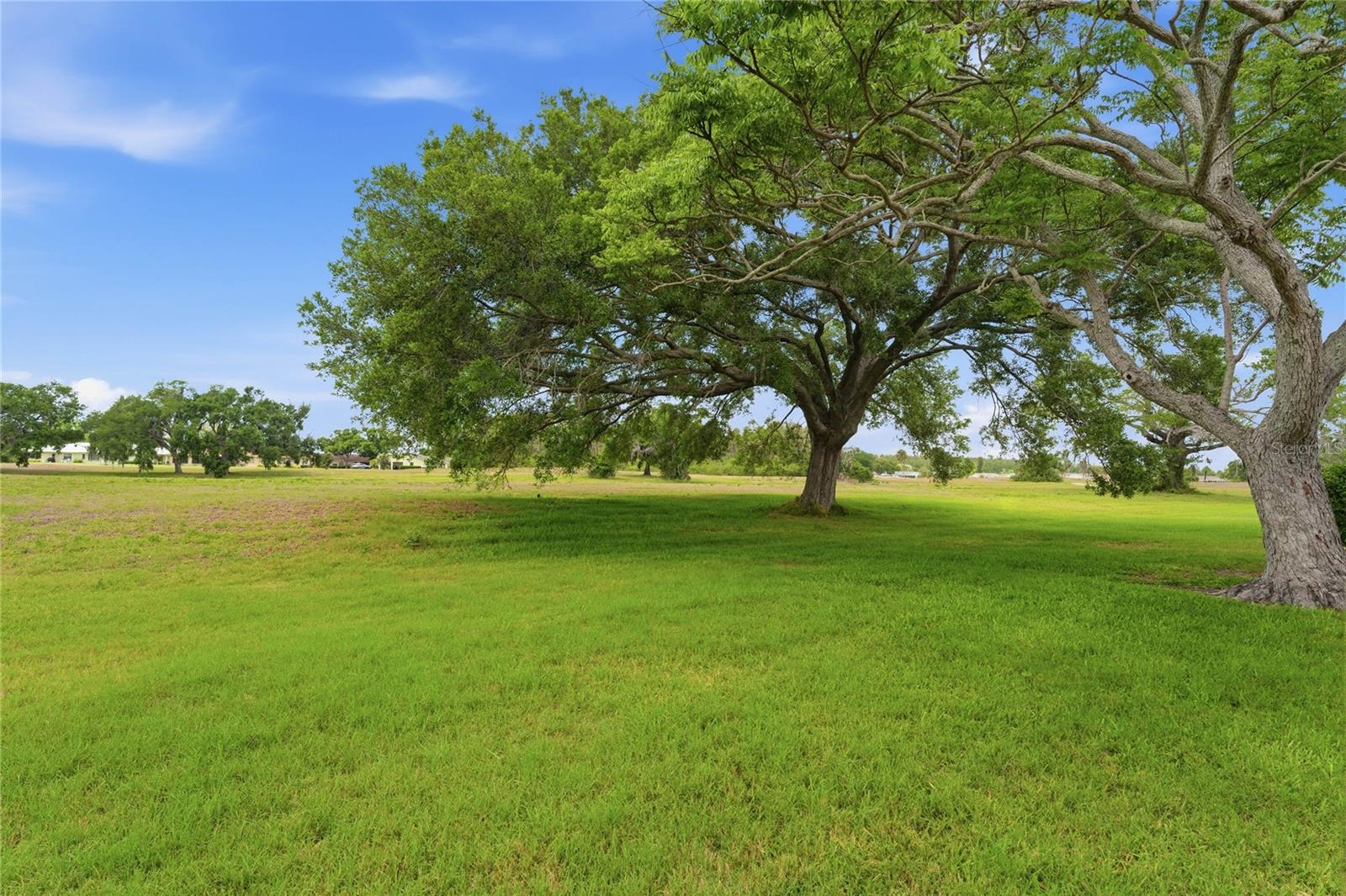 Image 29 of 46 For 417 Gladstone Place