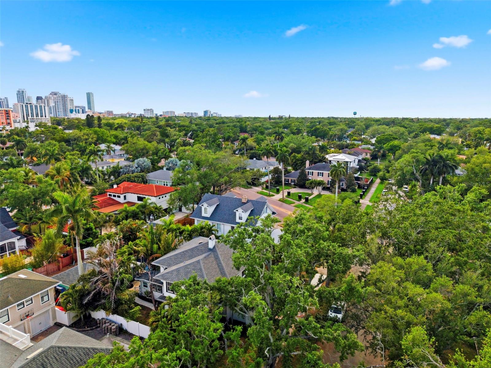 Image 83 of 85 For 816 16th Avenue Ne