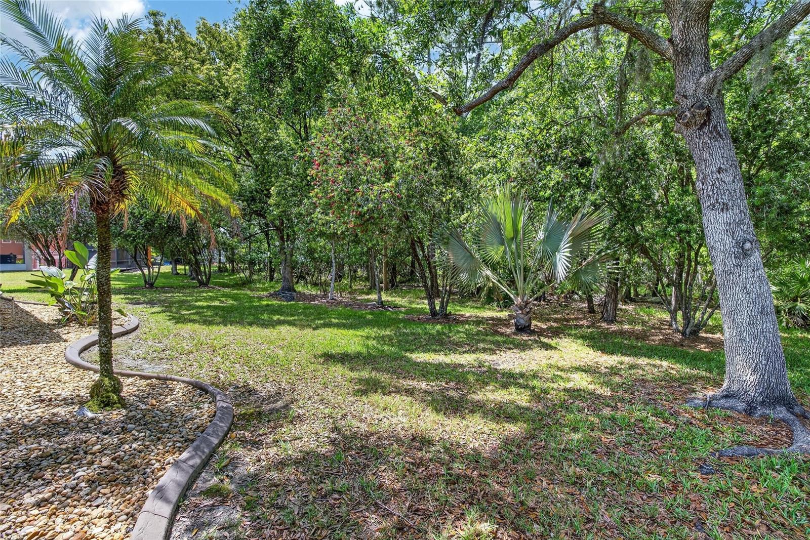 Image 52 of 65 For 21234 Tangor Road