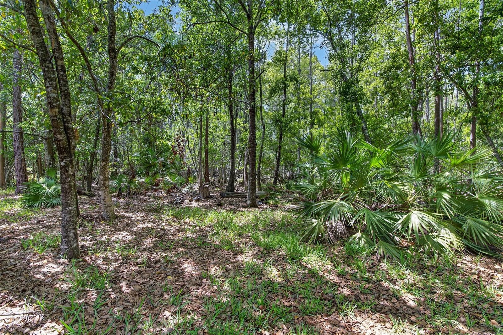 Image 53 of 65 For 21234 Tangor Road