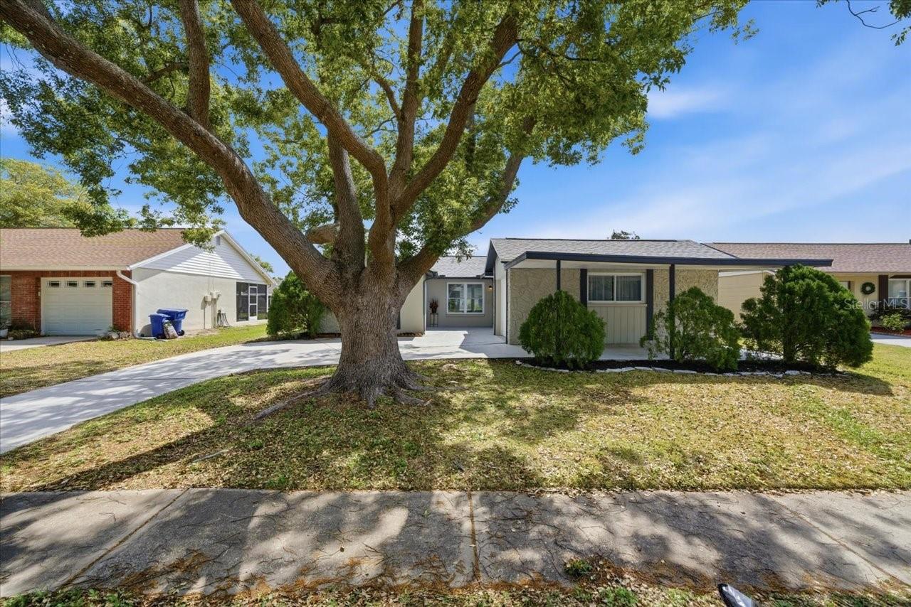 Image 34 of 42 For 3142 Loomis Drive