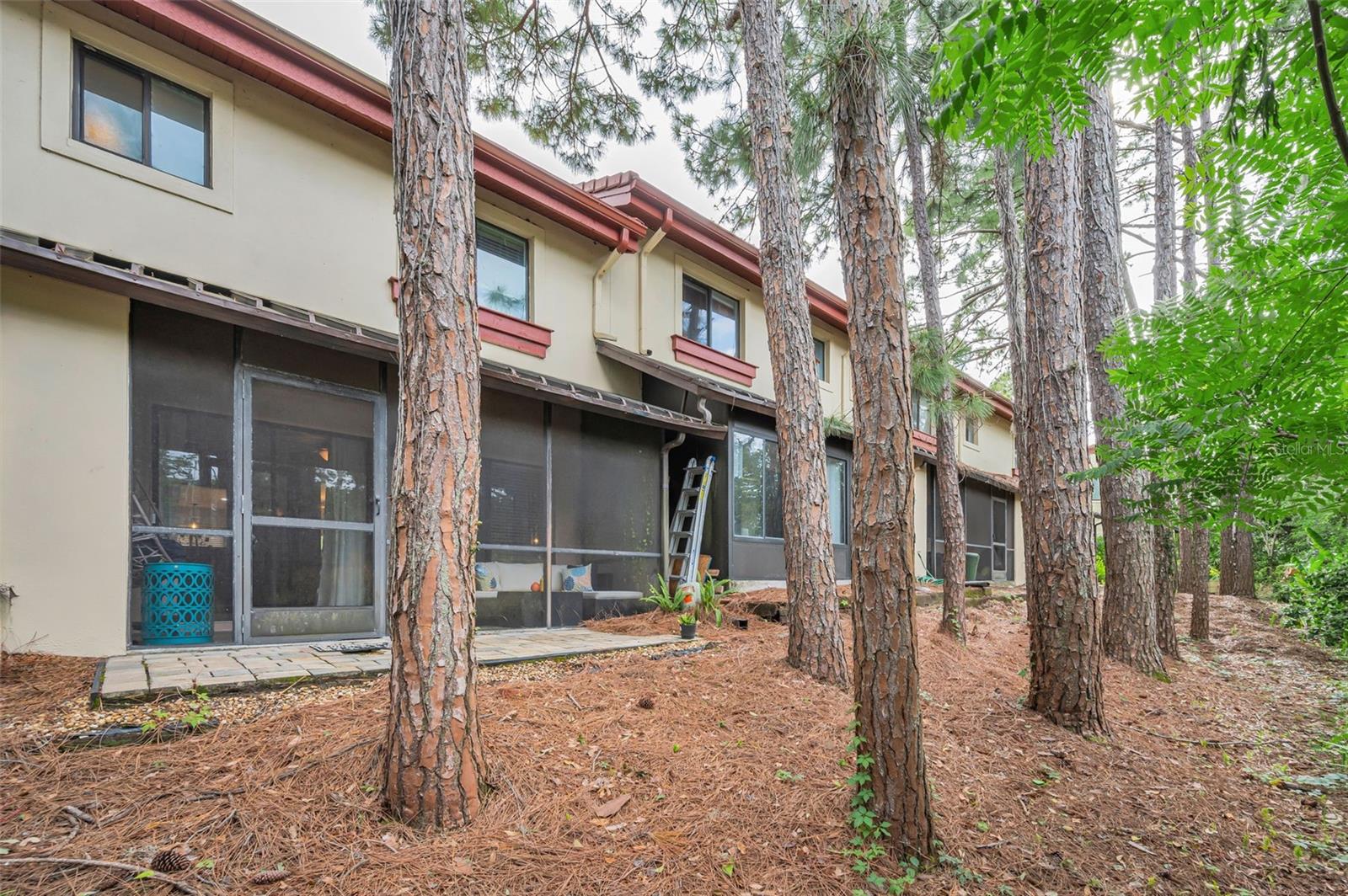 Image 39 of 55 For 3460 Countryside Boulevard 44