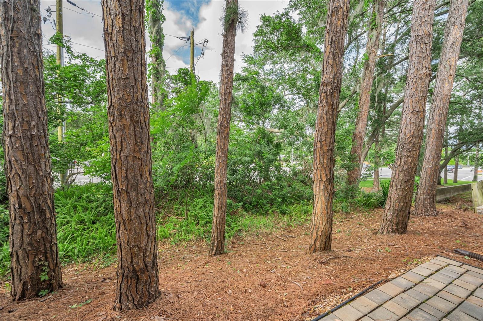 Image 41 of 55 For 3460 Countryside Boulevard 44