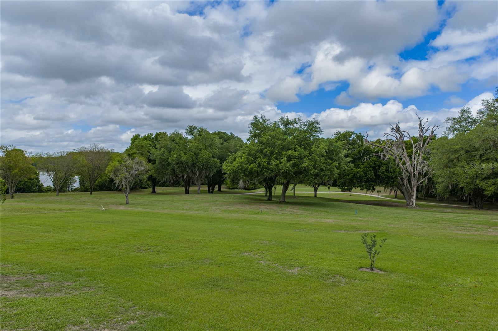 Image 71 of 88 For 13816 Carryback Drive