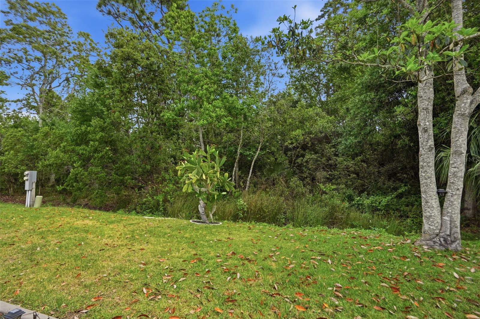 Image 39 of 51 For 5161 Forest Glenn Drive