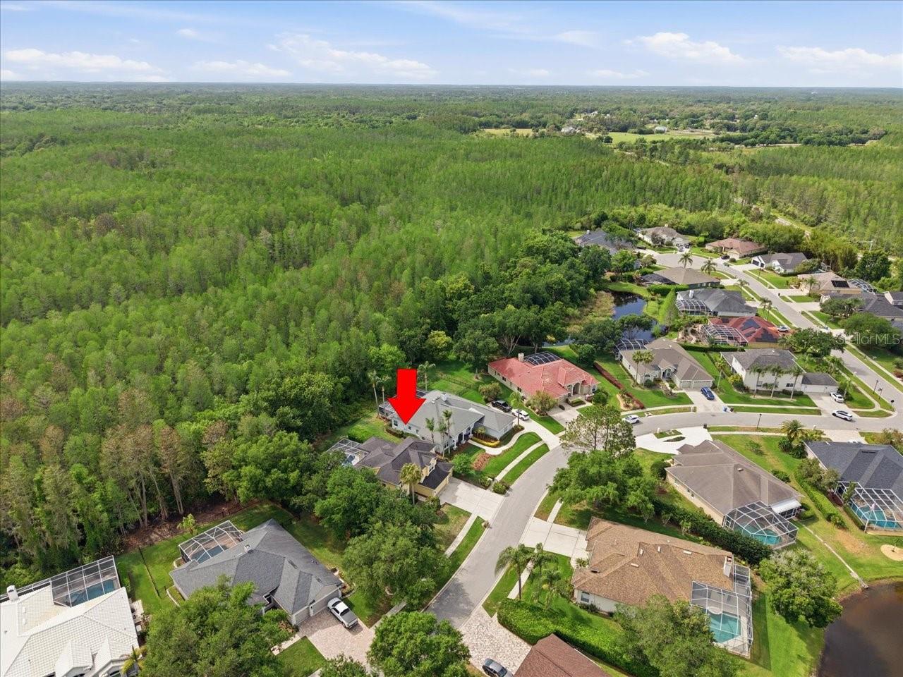 Image 67 of 71 For 19106 Saint Laurent Drive