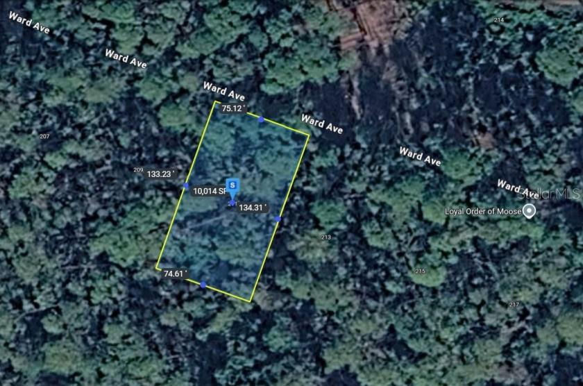 Image 8 of 8 For 211 Ward Avenue