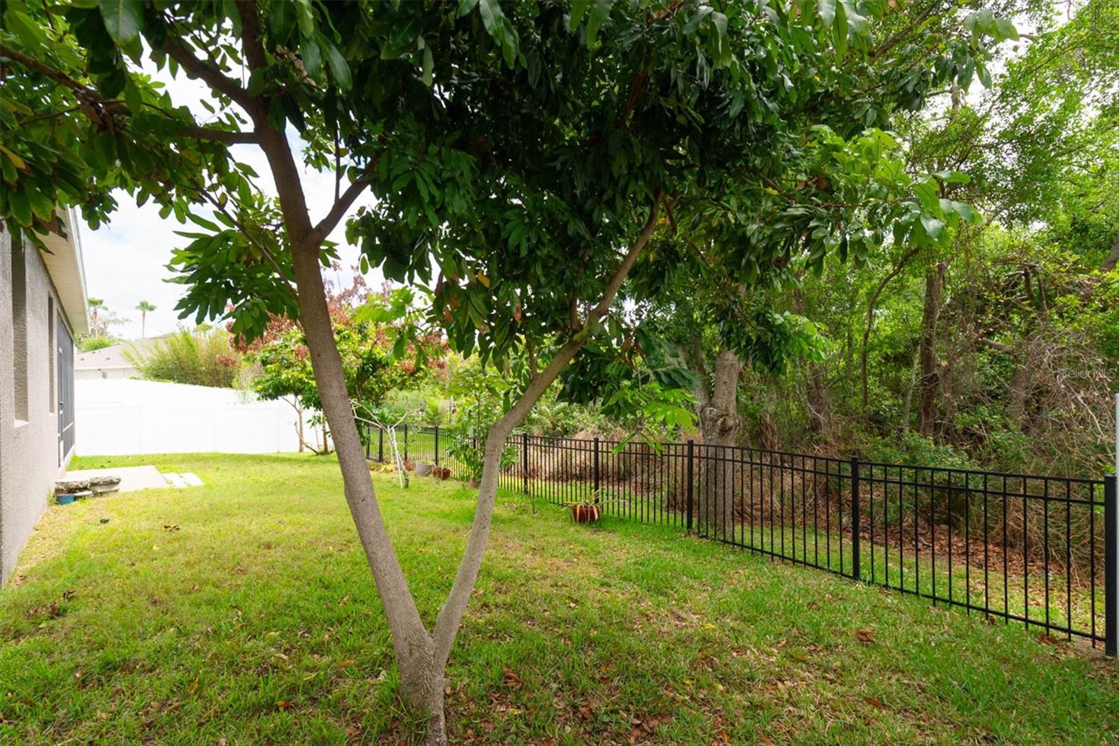 Image 35 of 41 For 10133 Caraway Spice Avenue