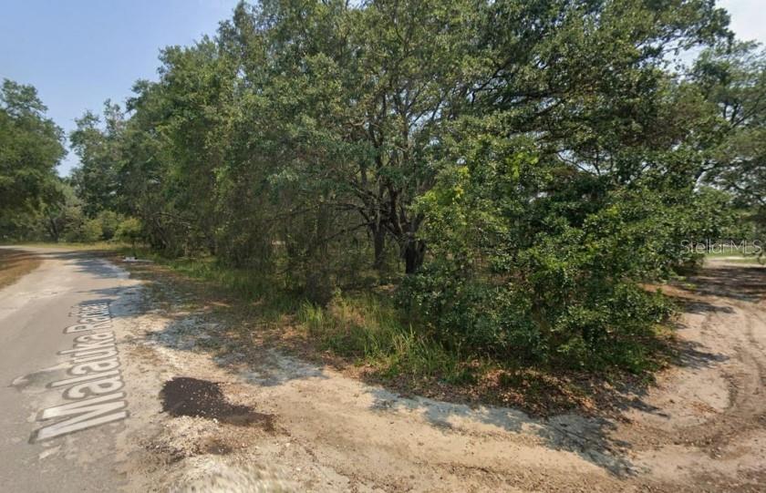 Image 2 of 9 For Malauka Radial