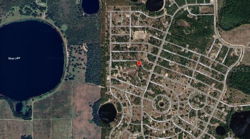 Image 4 of 9 For Malauka Radial